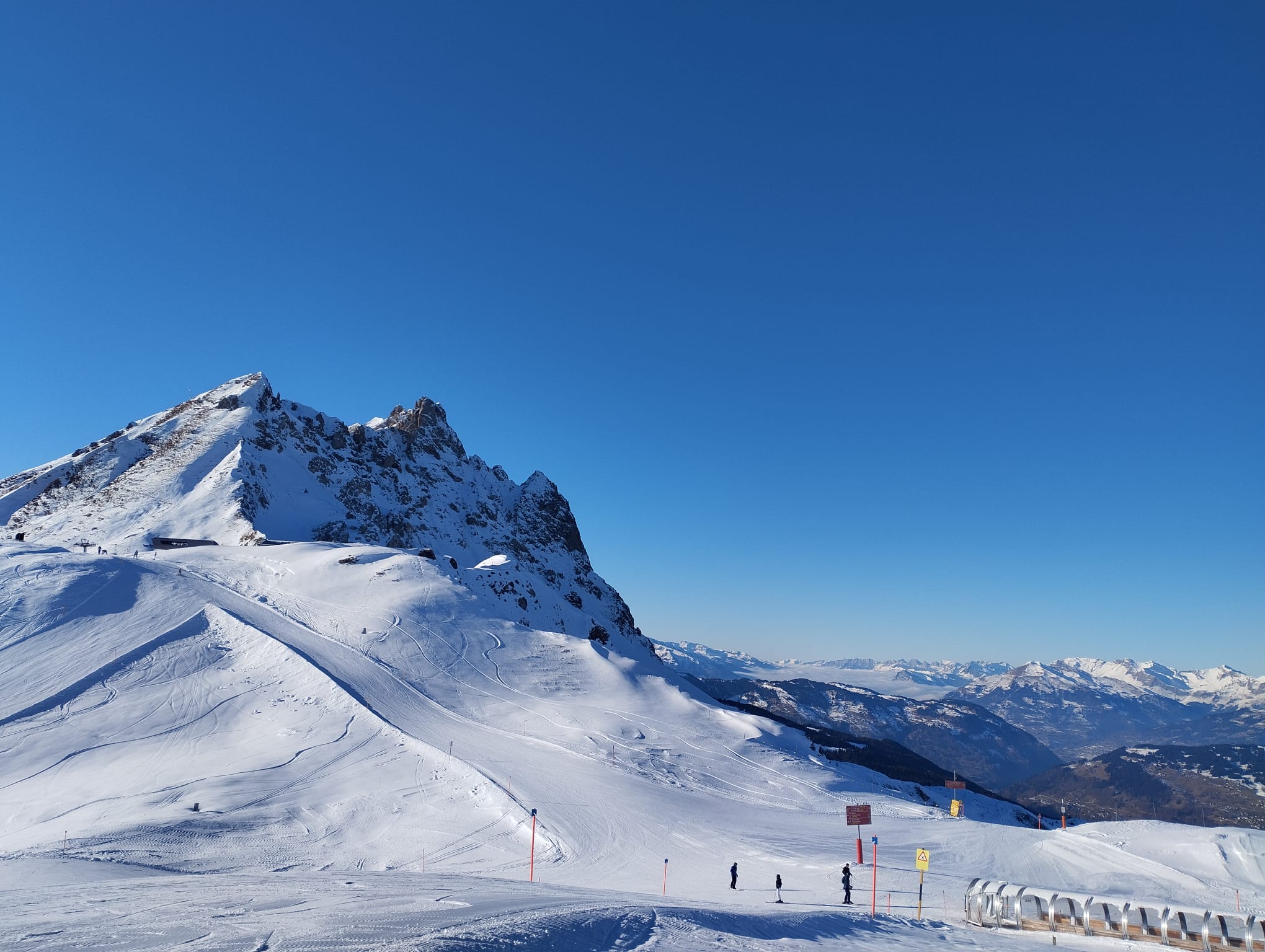 whatsapp image 2026 01 08 at 13.22.33 (8)