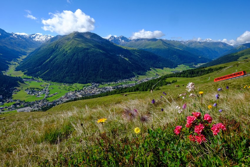 davos klosters summer impressions 1